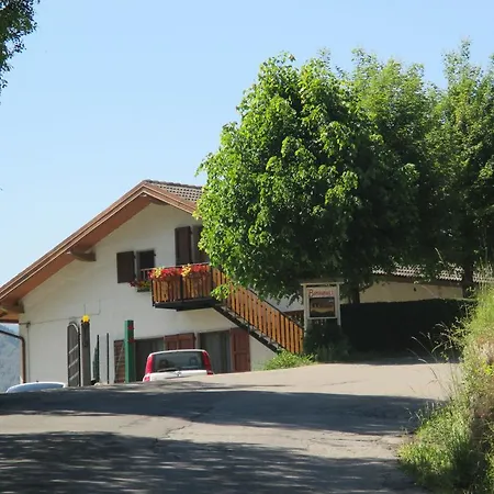Il Bosco *