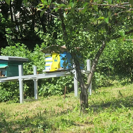 Il Bosco Apartmán Pievepelago