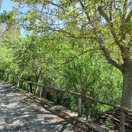 Il Bosco Pievepelago