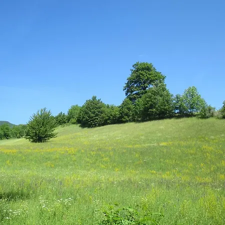Il Bosco Apartmán Pievepelago