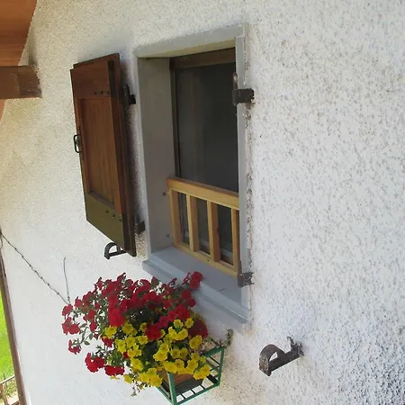 Il Bosco *